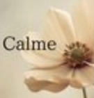 Calme