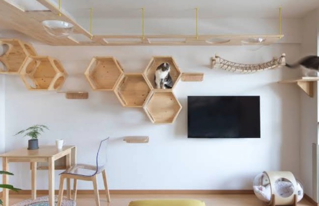 株式会社たすかけ